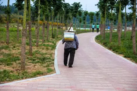兒女同時考上大學,母親只供女兒,兒子負氣離家,十年後才知真相