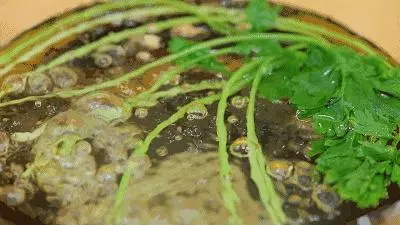 這樣做茄子,顏值超高,開胃下飯,大人小孩都愛吃!