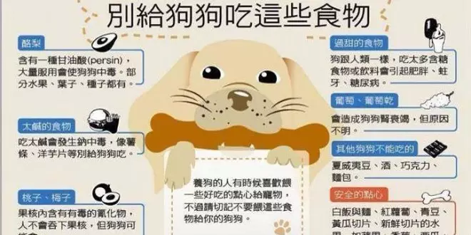 11種狗狗不能吃的食物 ,居然有它