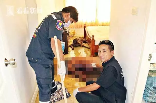 62歲獨居男子公寓內死亡多日 寵物狗守旁邊因太餓吃掉半個屍體