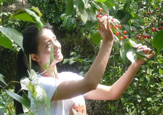離婚後回娘家住我哥那,六歲侄子的孩子話,讓我躲進房間泣不成聲