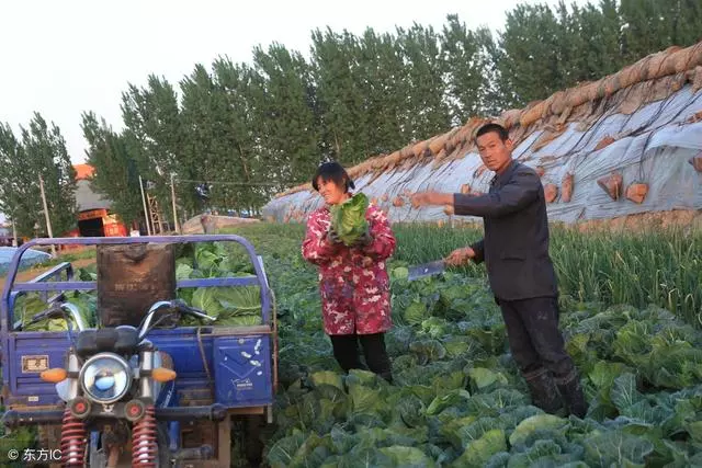 老公,你要是敢用我閨女去換兒子,我會讓你凈身出戶,不信你試試