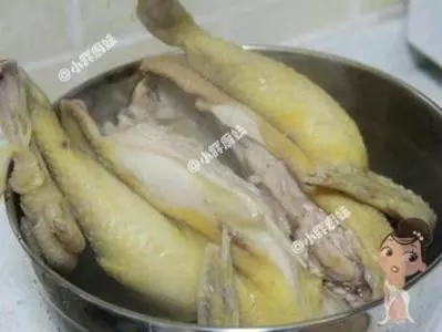 《薑汁雞》日常保健食譜,只需要簡單4種材料!人人都可以進補!