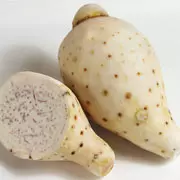 很多人想要的食譜----魚頭米粉(馬來西亞南洋風味)