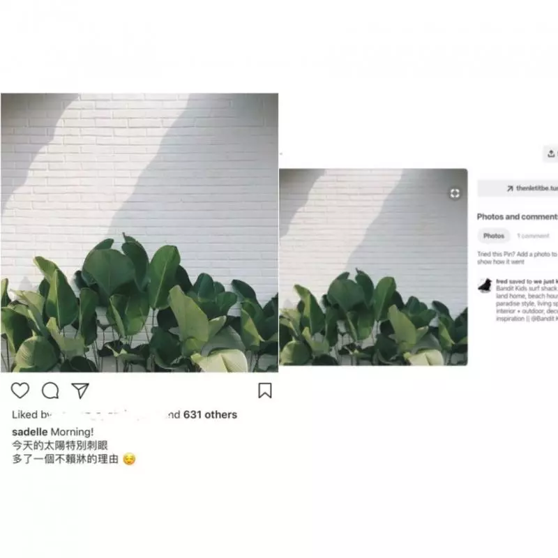 【照片全是在Google偷的!】方力申『緋聞女友』被爆偷圖扮富貴!被踢爆還理直氣壯!