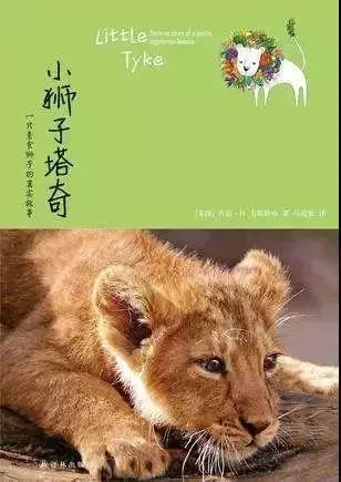 一隻吃素的獅子,感動全世界(真實故事)
