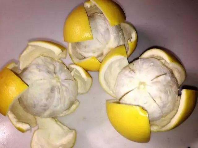 養花從來不用施肥料,只需把這些生活垃圾扔花盆,花是越長越茂盛