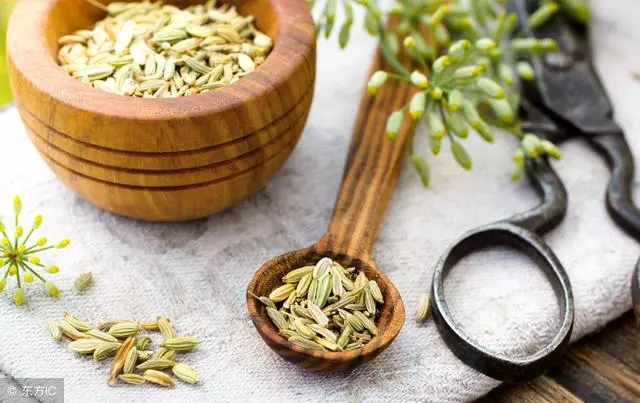 腸胃不好的人可多吃這5種食物,把腸胃疾病「吃走」!