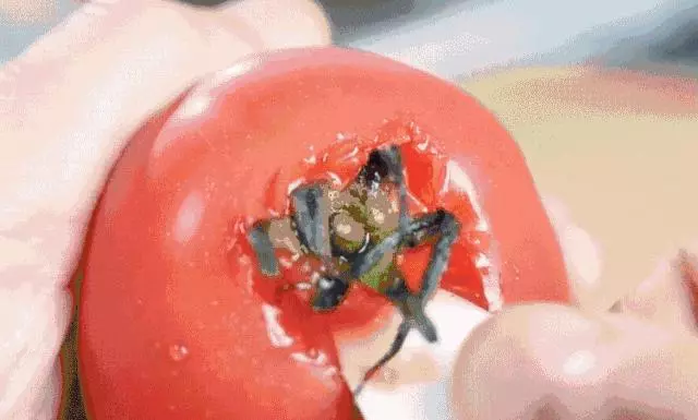 土豆絲怎麼切?肉類如何快速解凍?這些食材處理技巧,值得收藏!