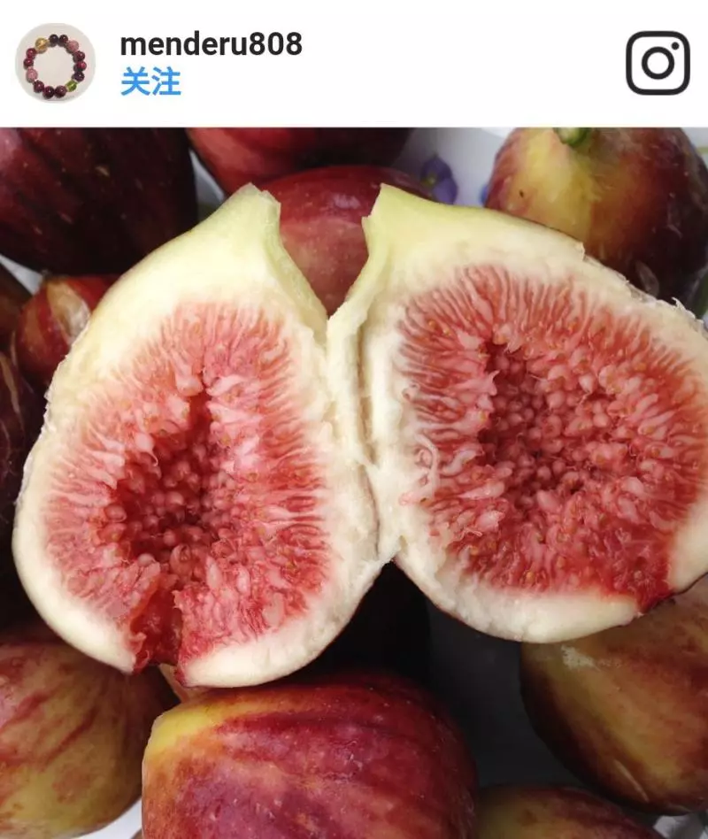 皮膚乾燥又脫皮!中醫教你煲 防乾燥湯水 讓皮膚變得Q彈水潤