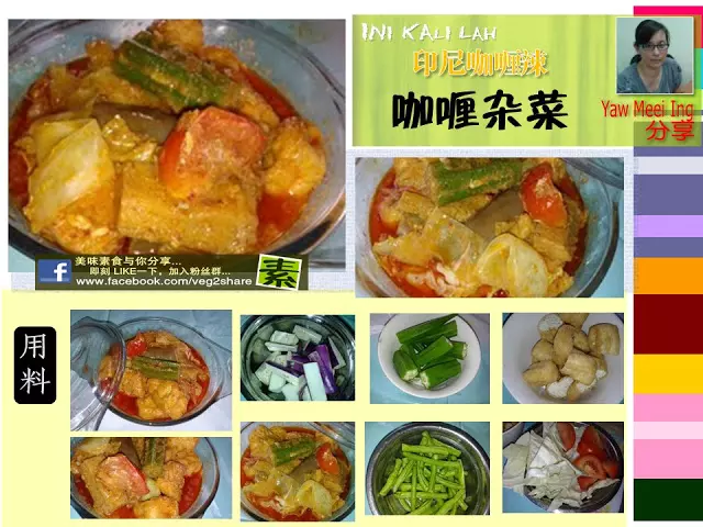 雜菜咖喱雞食譜 CURRY CHICKEN SAYURAN