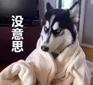 狗狗獨自在家待一天,不會無聊嗎?