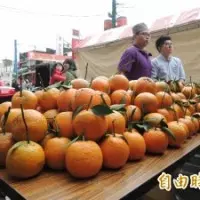馬英九被訴喊「全力迎戰」 北檢砲轟:暴利盡入他人私囊