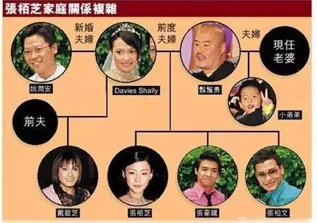 謝霆鋒、張柏芝註定要離婚?原來我們說謝霆鋒不負責都是錯怪了他!