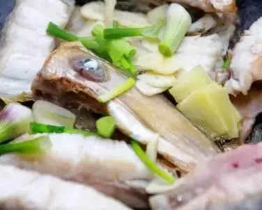 15種魚的做法,每一種都超級好吃!學會就是賺到!