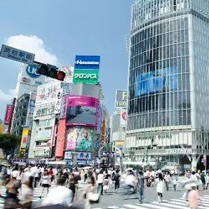 「國民年金法」部分違憲 遺屬可回溯請領前5年年金
