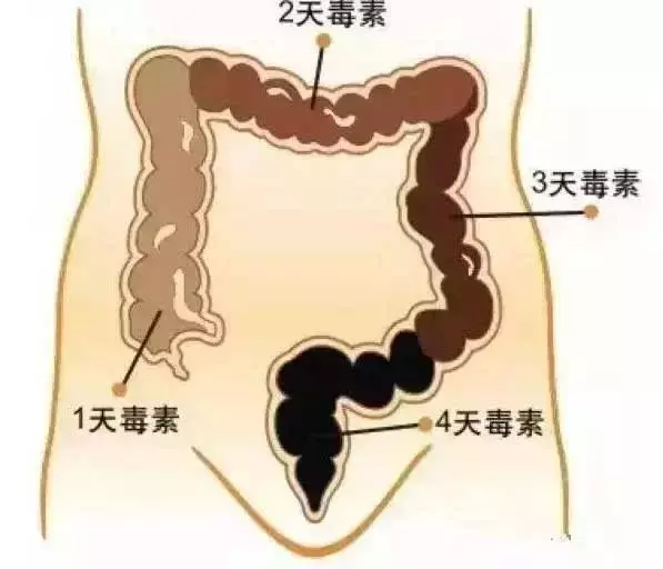 好身體是「喝」出來的!清晨一杯水5大好處,卻有4種水不能喝