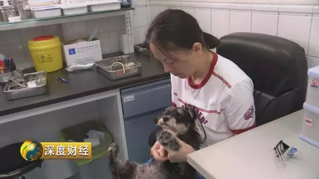 「萌寵經濟」大爆發。一個千億級的大市場悄然崛起,「錢景」都有啥?