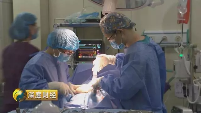 「萌寵經濟」大爆發。一個千億級的大市場悄然崛起,「錢景」都有啥?