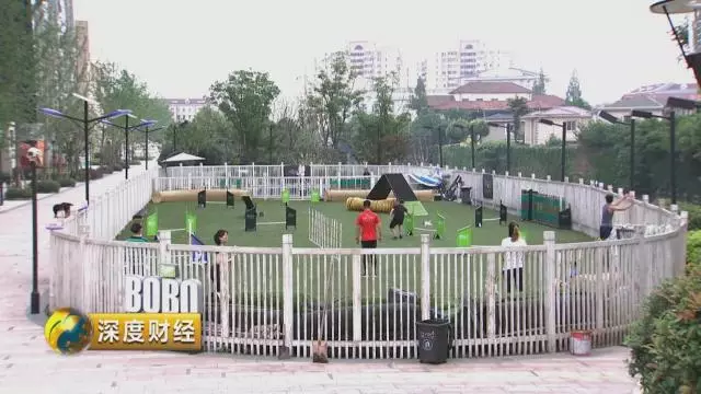 「萌寵經濟」大爆發。一個千億級的大市場悄然崛起,「錢景」都有啥?