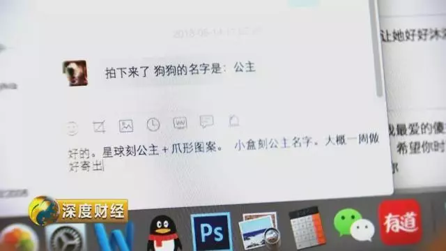 「萌寵經濟」大爆發。一個千億級的大市場悄然崛起,「錢景」都有啥?