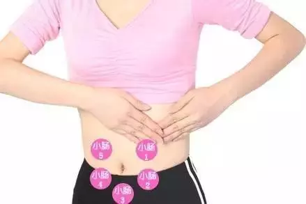 10個動作早上做一次,舒服一整天,多活二十年!一起來做吧... -