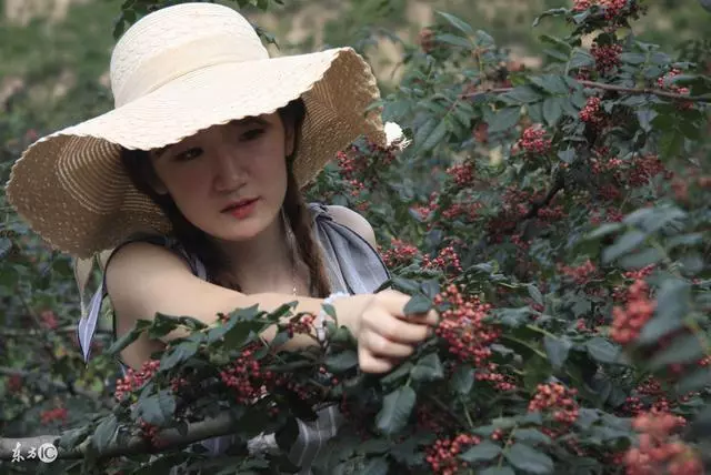 哥嫂為妹妹找到好人家,十年後妹妹卻開著豪車回來,要送他們進監獄!