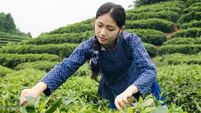叔叔把我養大,我接叔叔來養老,堂弟要求我支付名譽損失費