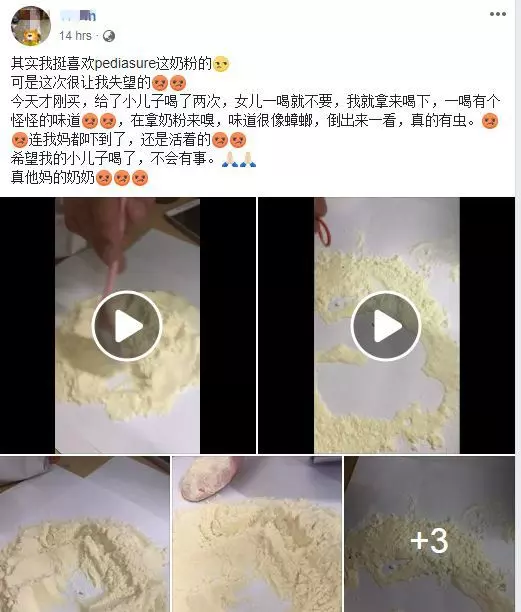 【父母們注意啦!】大馬知名品牌奶粉被爆出有蟑螂味!網友:打開一看,裡面超多蟲!