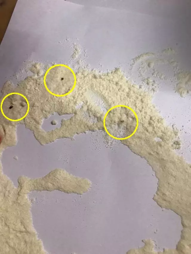 【父母們注意啦!】大馬知名品牌奶粉被爆出有蟑螂味!網友:打開一看,裡面超多蟲!