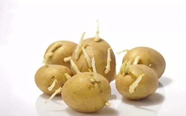 醫生:7種發芽的食物,3種不能吃,要丟掉,4種營養倍增,要珍惜