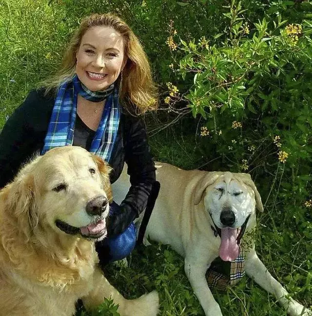 因長相醜陋沒人敢要它,遇到對的人後,它的笑容暖化所有人的心