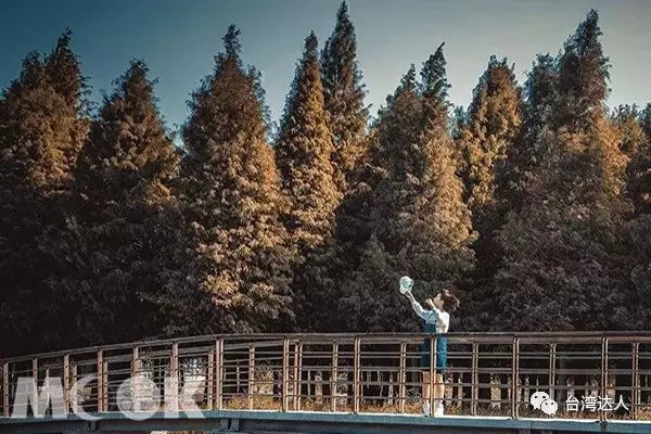 輕鬆拍出異國大景!台南十大必玩景點