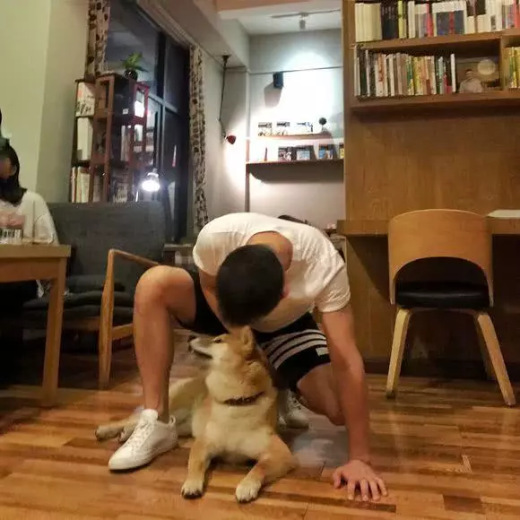 王者榮耀;榮耀王者發上分心得,銘文卻爆評論,網友:無心插柳