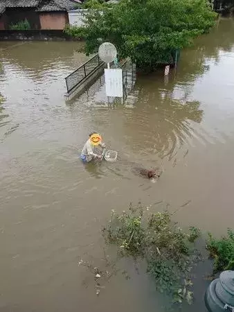 敢在暴雨天遛狗的主人……都是勇士