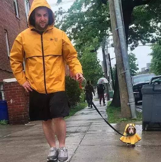 敢在暴雨天遛狗的主人……都是勇士