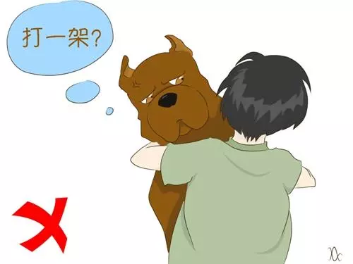 遇陌生狗狗,記住這5件事情不要做!第2條很多人都中招了...