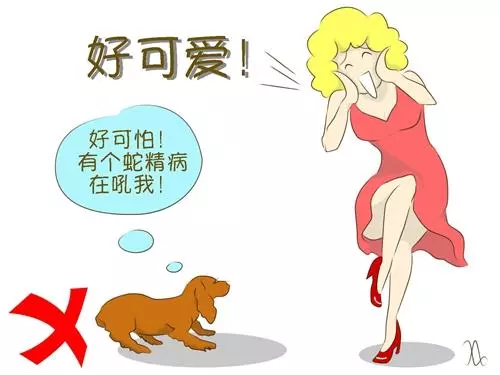 遇陌生狗狗,記住這5件事情不要做!第2條很多人都中招了...