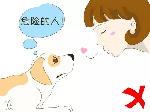 遇陌生狗狗,記住這5件事情不要做!第2條很多人都中招了...