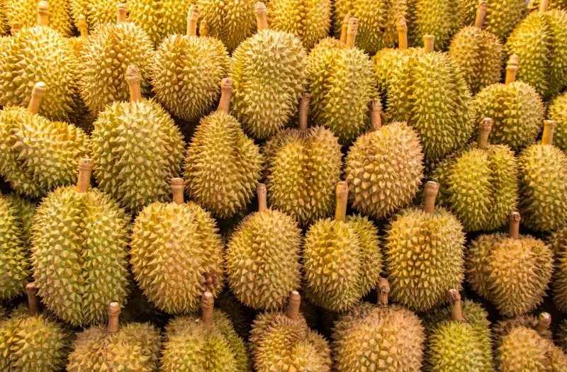 學會這神招就能輕鬆開榴槤!