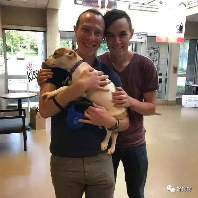 狗狗獲救後不能停止微笑
