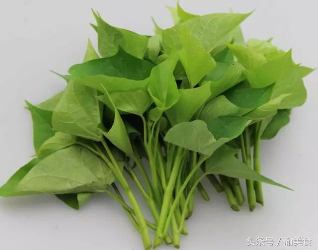 癌細胞最怕的「9種」菜 ,常吃身體也很健康啊!