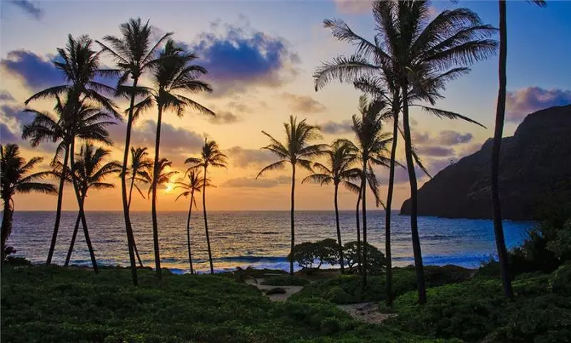 全球首例! 美國 Hawaii 2021年禁用防曬乳, 原因竟是… 線民: 大力支持!