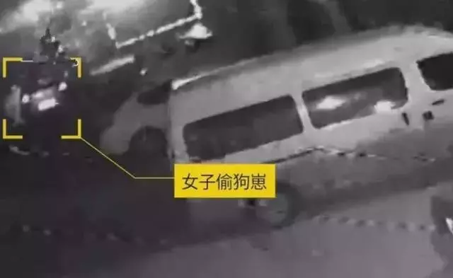穿著名牌開著豪車的肥女人,偷完四隻小英牛後,回到主人家偷母狗