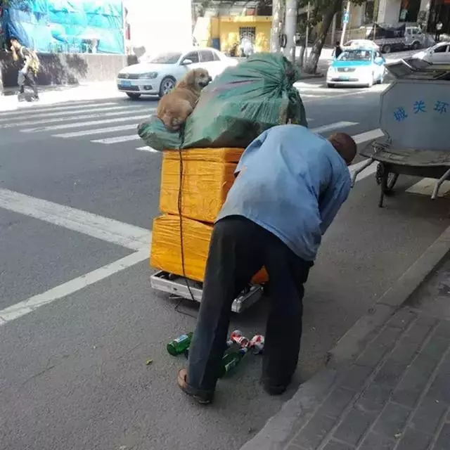 拾荒大爺撿到流浪狗,彼此間相依為命,坐小拖車上笑得很溫暖