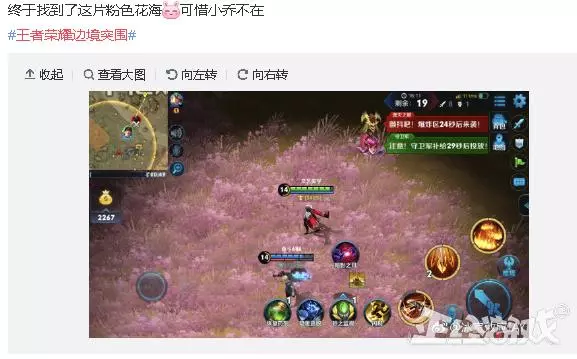 王者榮耀新模式被徹底玩壞了！玩家不吃雞跑去桃花林談戀愛！