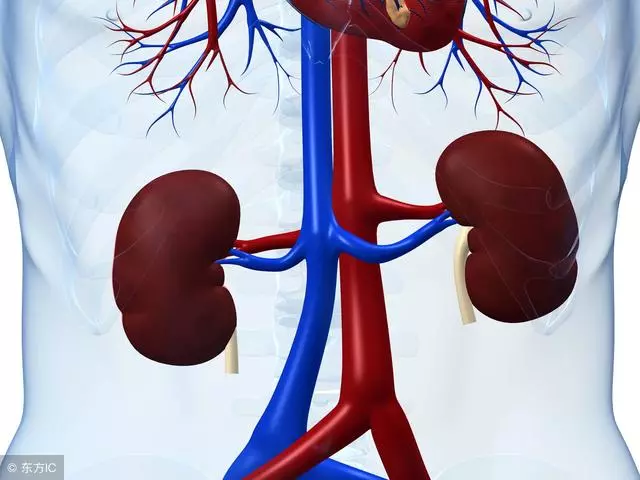 憋尿居然把膀胱憋「炸」了!看完憋尿的9大危害,再也不敢憋了