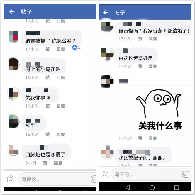 【要不要這麼絕啊?】四葉草與SpeXial子閎戀愛消息證實後『大馬與台灣網友』留言超極端!!