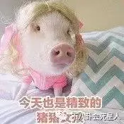 郭富城老婆最新寫真被贊「高配趙麗穎」,網友:方媛是最良心網紅!