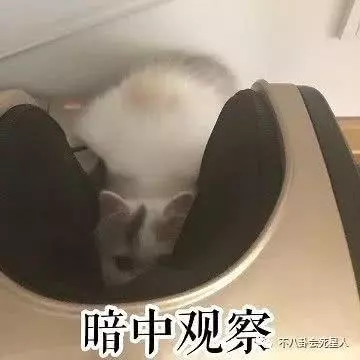 郭富城老婆最新寫真被贊「高配趙麗穎」,網友:方媛是最良心網紅!